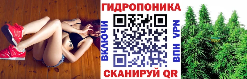 Как найти наркотики Берёзовка Кокаин Мефедрон ГАШ APVP Марихуана