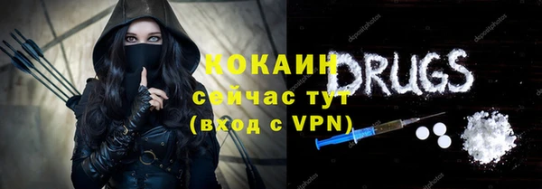 индика Абинск