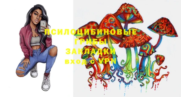 дурь Алексин