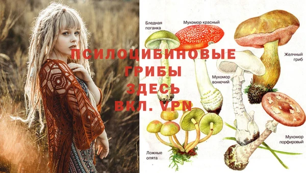 дурь Алексин